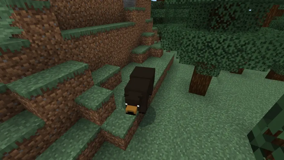 Медведь Барибал на фоне тайги