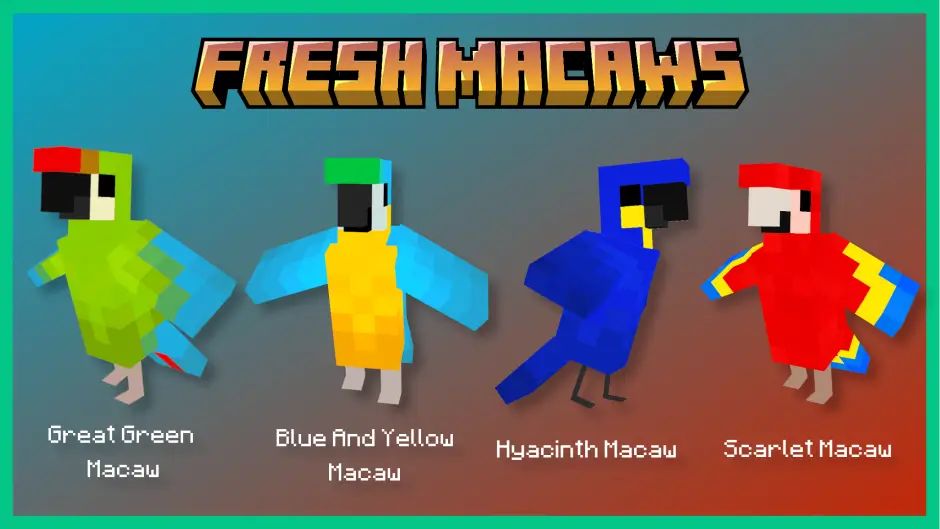 Четыре вида ярких попугаев с их наименованиями