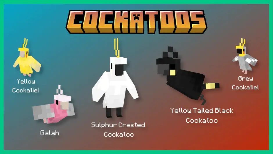 Пять новых видов попугает разных цветов