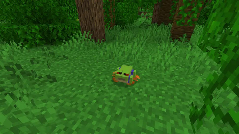 Красноглазая квакша в джунглях