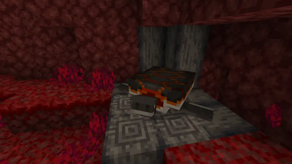 Магмовая черепаха в базальтовых дельтах