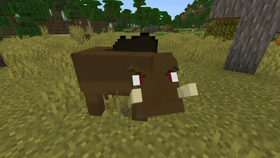 Кабан в тёмном лесу