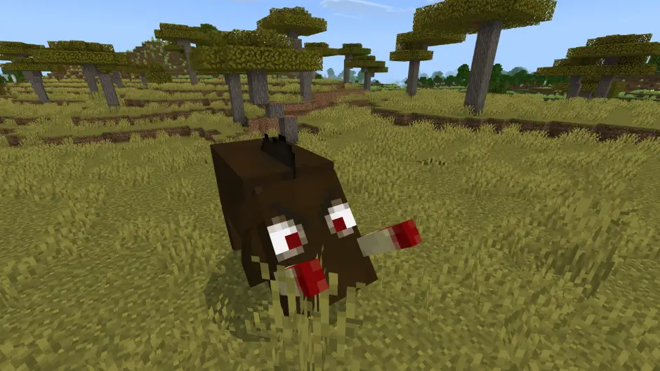 Кабан Секач рядом со стадом