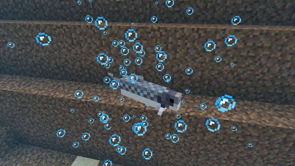 Сибас в океане