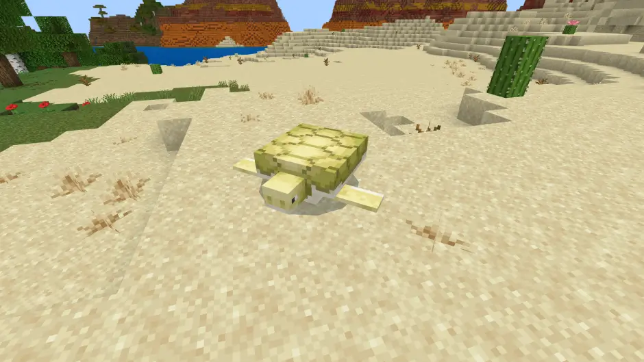 Песчаная черепаха в пустыне