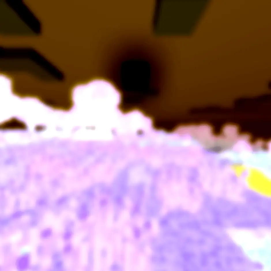 Пугающее изображение измененного мира