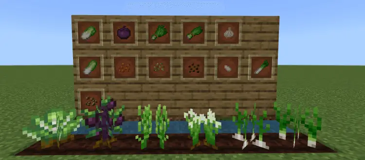 Некоторые культуры в табличках и на вспаханной земле