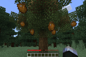 Новый способ сбора апельсинов с дерева