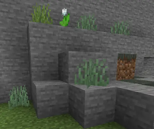 Вощёный камень