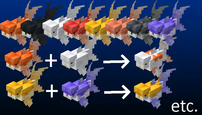 Все разновидности новых рыбок и их скрещивание