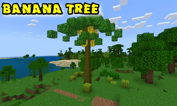 Пальма с бананами на ветках