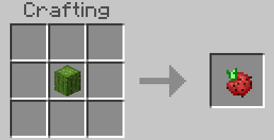 Крафт плода кактуса