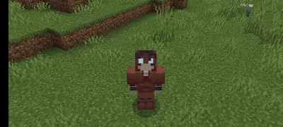 Хитиновая броня