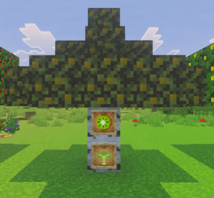 Дерево с киви