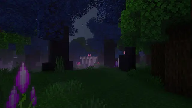 Волшебный лес