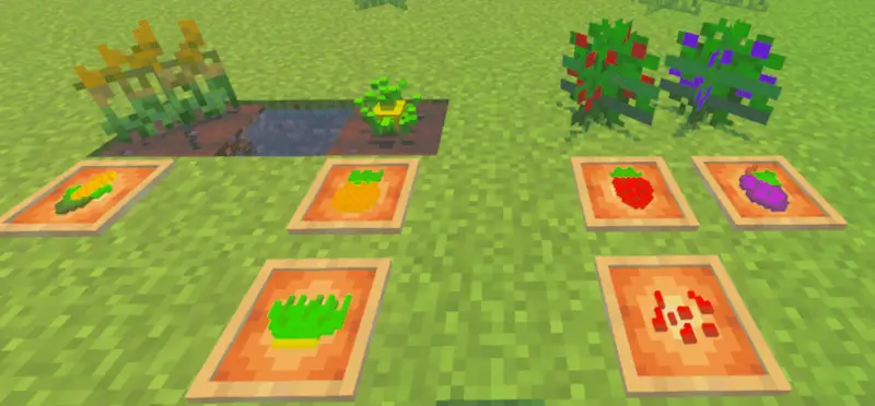 Новые ягоды