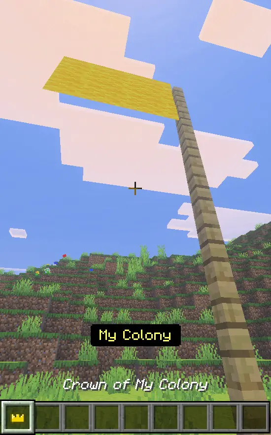 Настроенный флаг