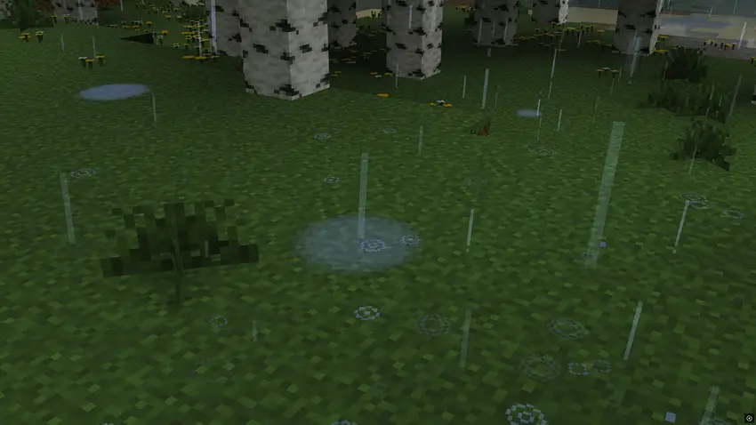 Дождь в лесу с реалистичными брызгами