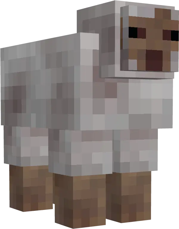 Зараженная овца с красными пятнами на шерсти