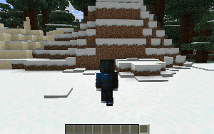 Игрок проходит в свой дом через блоки земли