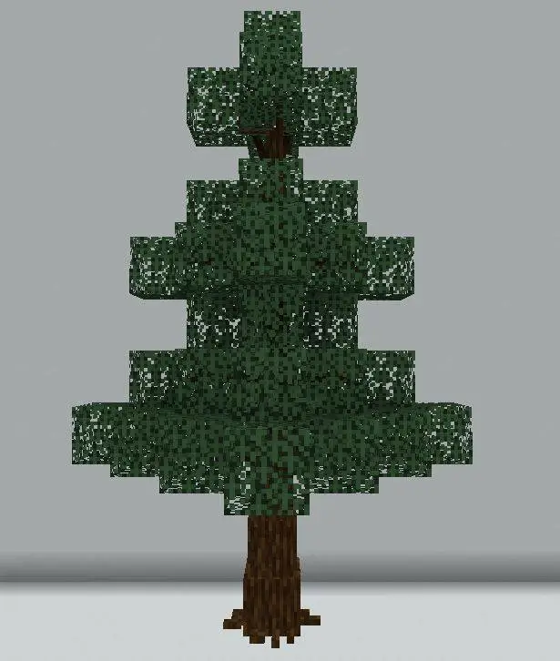 Новый вид ели