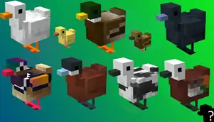 Несколько ярких видов уток и два утенка