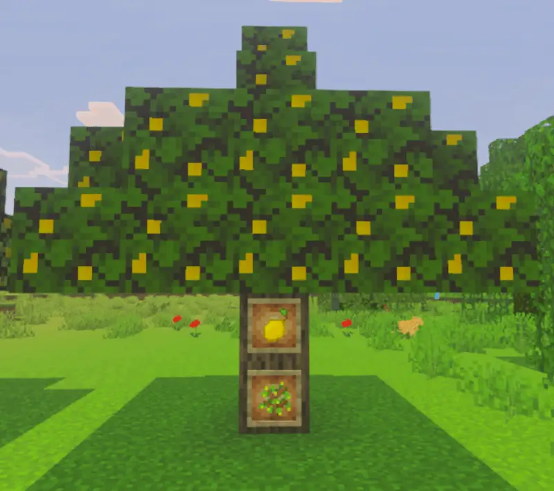 Дерево с лимонами