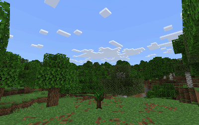 Процесс созревания апельсинов на дереве