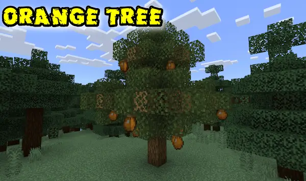 Дерево с растущими апельсинами