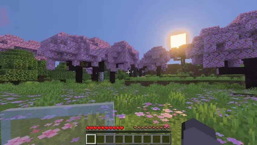 Игрок с полупрозрачным щитом в вишневом биоме