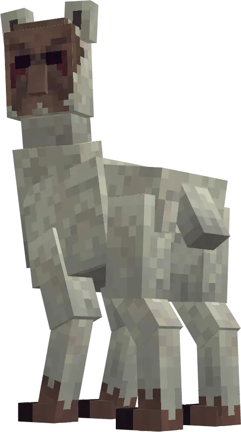 большая белая лама с лицом жителя