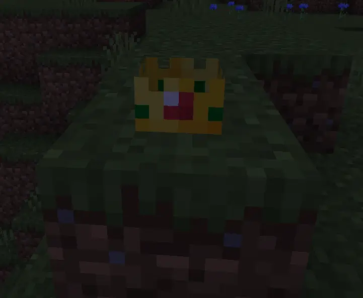 Корона в игре