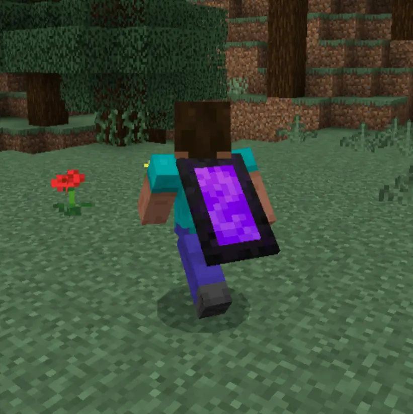 Темный плащ игрока в виде портала в Незер