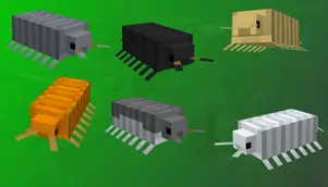 Шесть разновидностей мокриц с множеством ножек