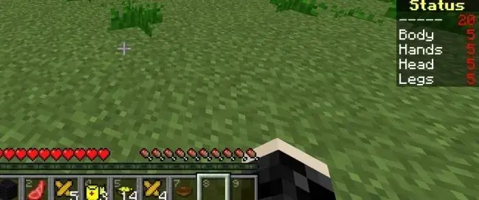 Состояние здоровья