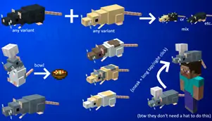 Разные виды крыс и их скрещивание