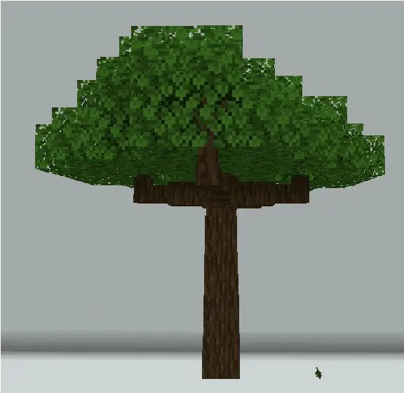 Новый вид тёмного дуба