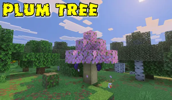 Сливовое дерево с розовой листвой