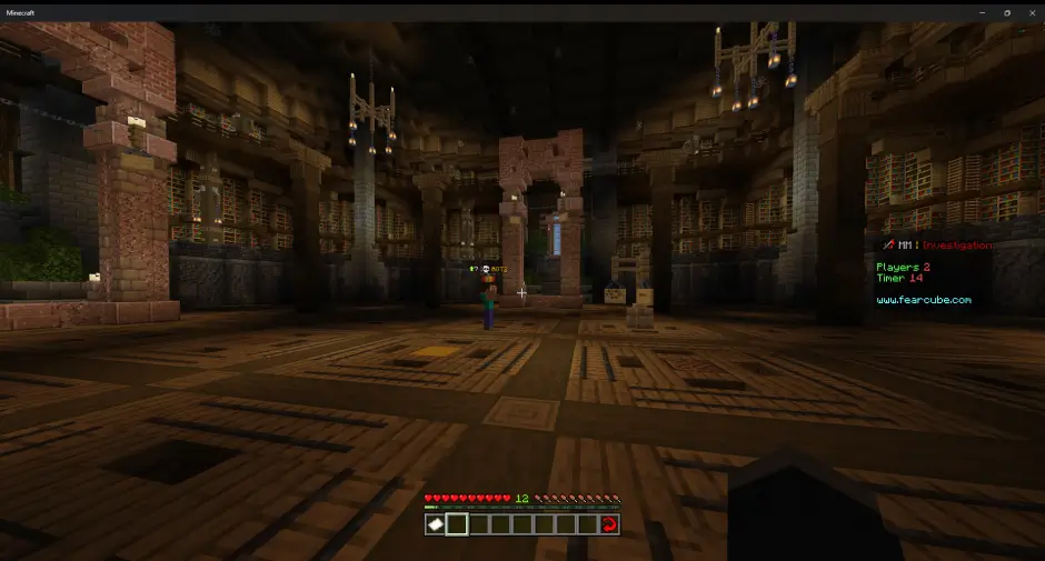 Арена карты и игрок