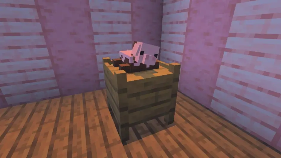 Грязная плюшевая свинья лежит на полке