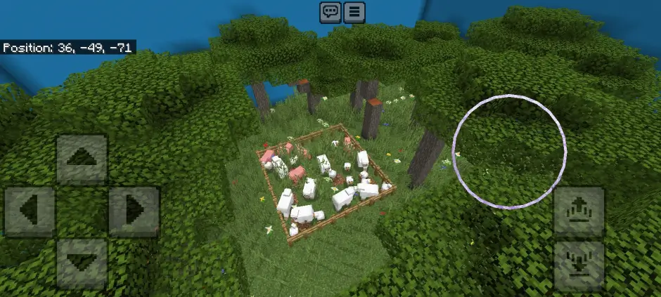 Загон с животными