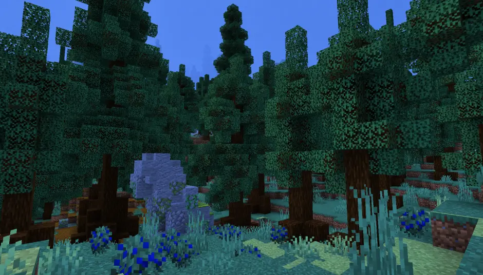 Новый вид тайги