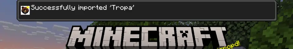 Successful addon import message