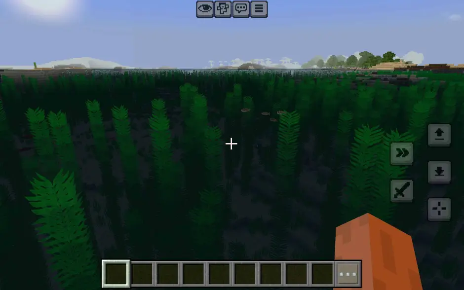 Океан с новой моделью ламинарии