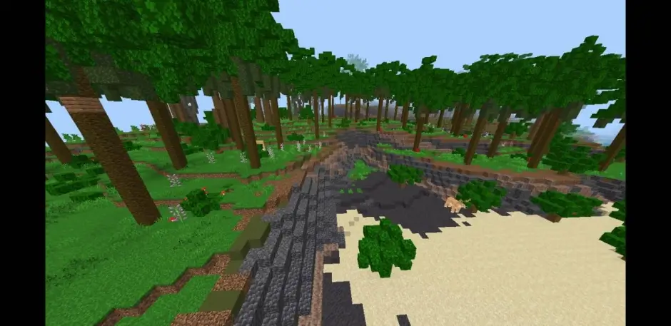 Песчаный берег с множеством пальм