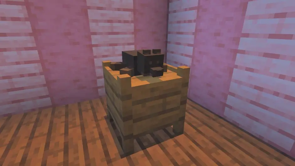 Коричневая собака лежит на деревянном комоде