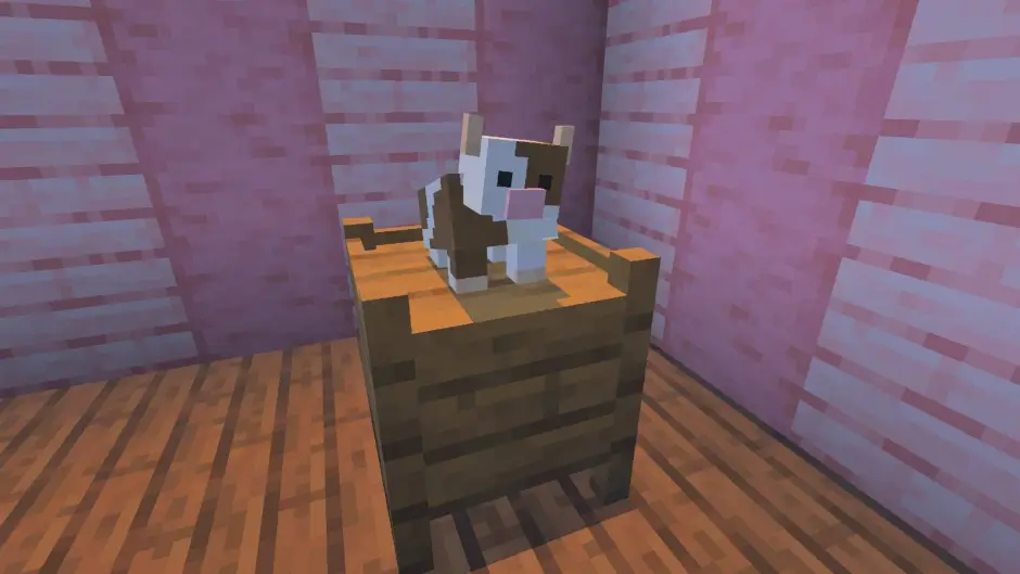 Маленькая пятнистая корова на фоне розовой стены