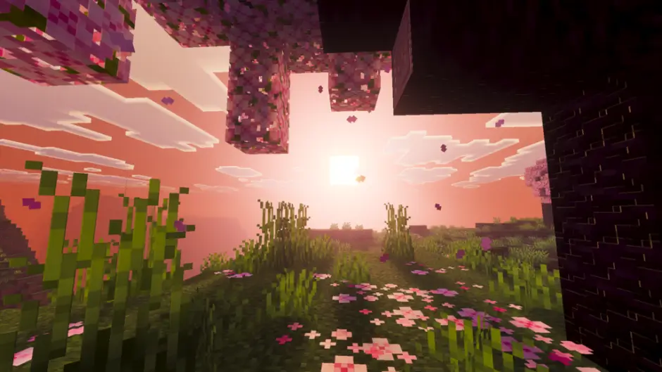 Яркое солнце над вишневым биомом