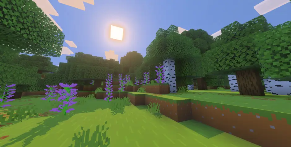 Лес с новой листвой на деревьях