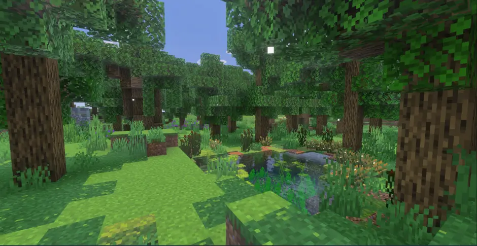 Новый вид леса